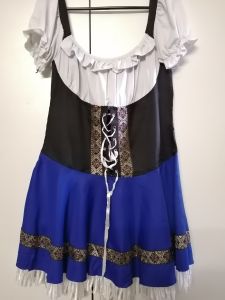 Adult Female Costumes to Hire - German Dress - BLUE